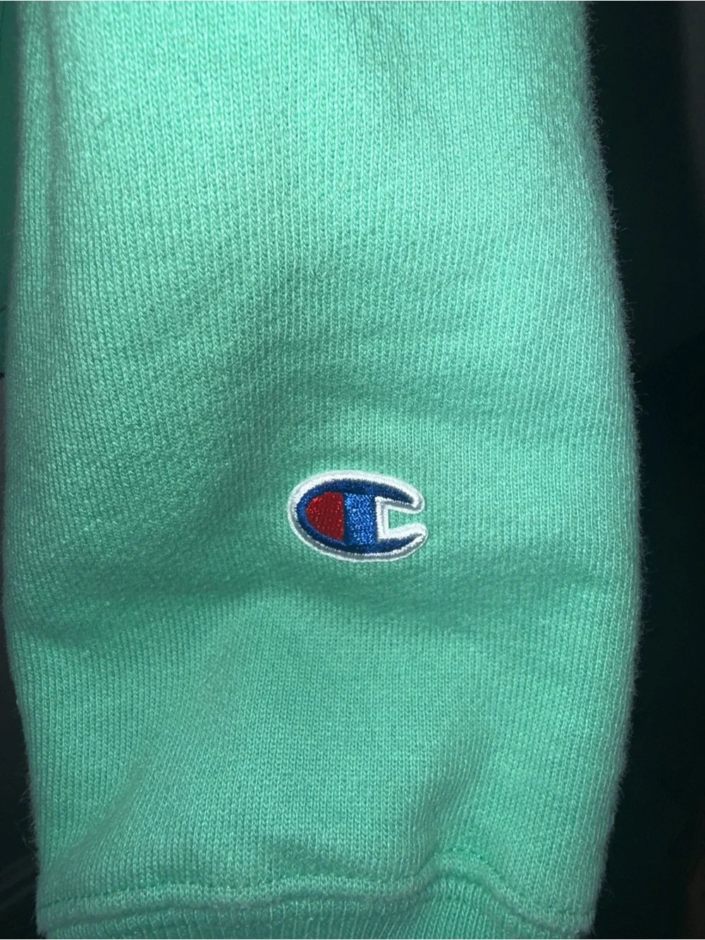 Champion Reverse Weave Blank Heavyweight Pullover Hoodie Mint Green Size M